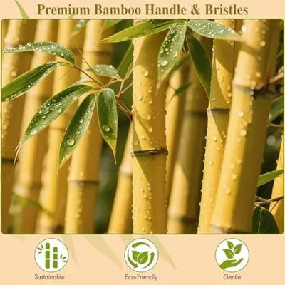 Bamboo Hair Brush for Daily Use & Gifting